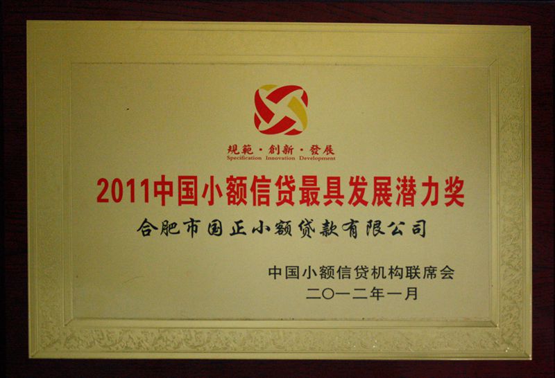 2011年  中国小额信贷最具发展潜力奖