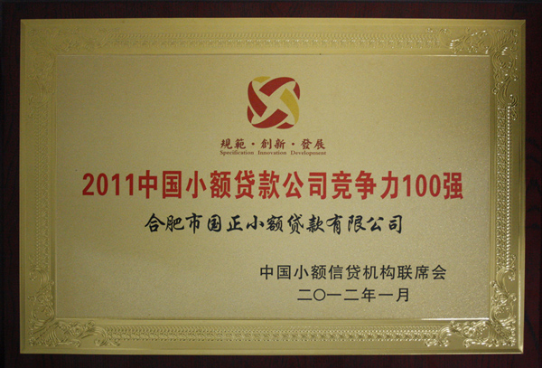 2011年  中国小额贷款公司竞争力100强