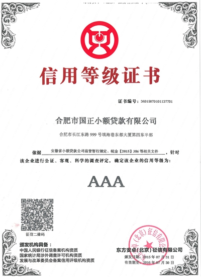 2014年  安徽省小额贷款公司信用评级AAA级
