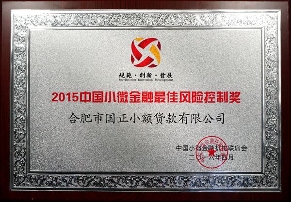 2015中国小微金融 “最佳风险控制奖”