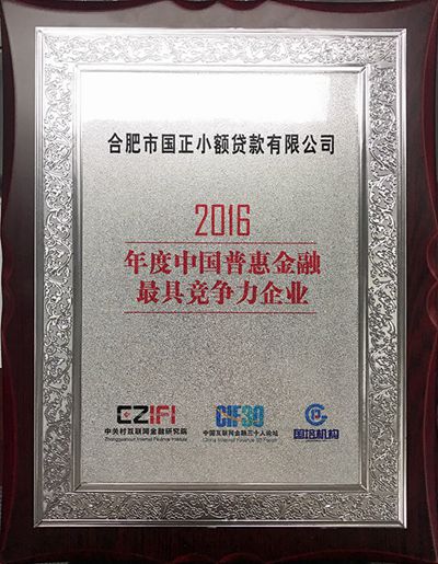 2016年度中国普惠金融最具竞争力企业